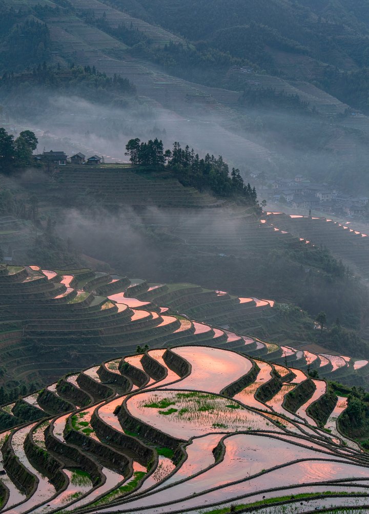 Yunnan